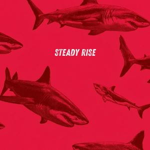 Sculpting Steel Shadows