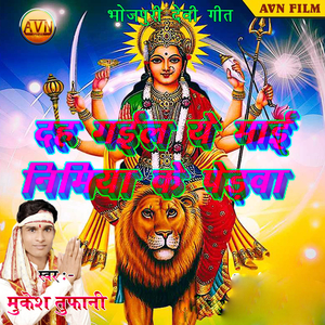 Aile Nawrat Aihe Maiya Ji Hamar