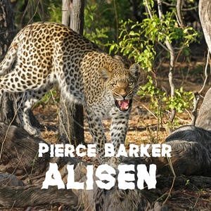 Alisen