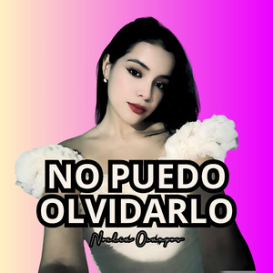 No Puedo Olvidarlo