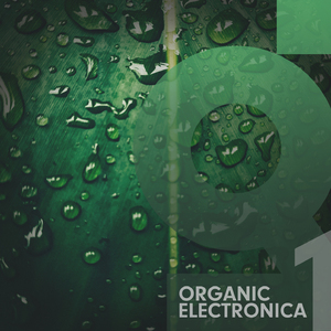 Fighting For A Reason