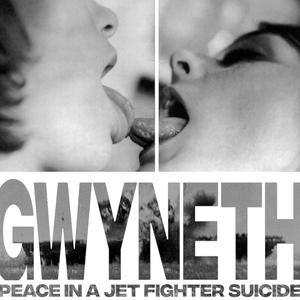 Peace In A Jet Fighter Suicide