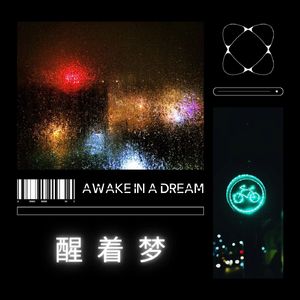 AWAKE IN A DREAM (醒着梦)