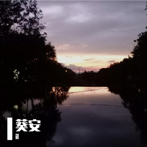 葵安的记忆