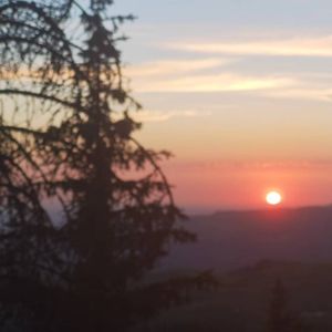 我用什么把你留住（阿林 remix）