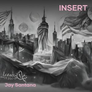 Insert