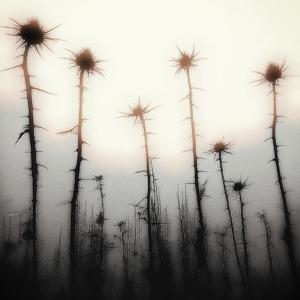 Nothing Hurts Forever