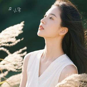 风的季节 (Cover Soler)