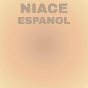 Sugarcane Cheesecake