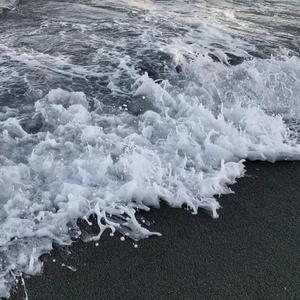 我想你365天外加65秒-（小香版）