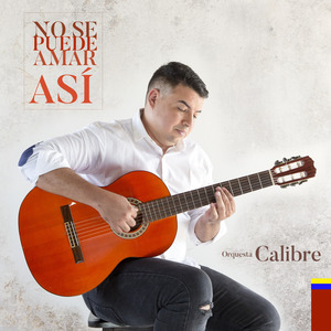 No Se Puede Amar Asi