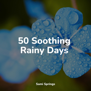 Rain, Leaves, Evening