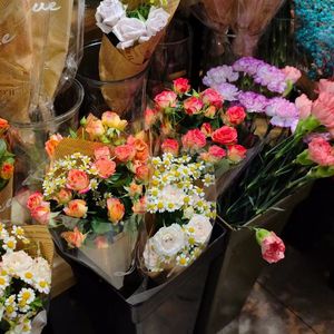 日不落宁君暖沉