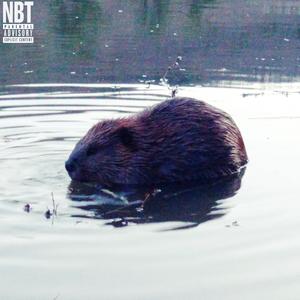 BEAVER (feat. Marlon DuBois, Milkreset, Aceii, Henry Mosto, Ricky Chix & Dugan)