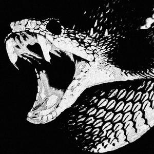 Fist Fight (feat. Yxng Demon)