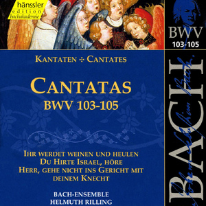 Herr, gehe nicht ins Gericht mit deinem Knecht, BWV 105:Recitative: Mein Gott, verwirf mich nicht (Alto)