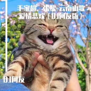 毛家超、张黎-送郎送到五里坡（DJ何友版）