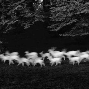 傻子都明白1758286447868