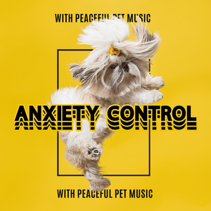 Calming Music for Pets