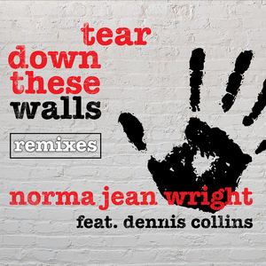 Tear Down These Walls (Berttheproducer Dance MIX)