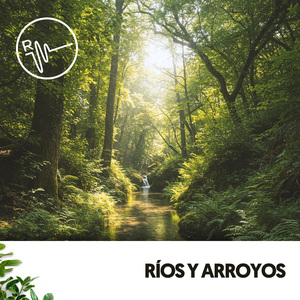 Momentos de Tranquilidad