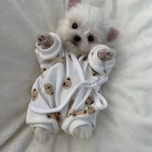 Whiskey Con Agua (slowed)