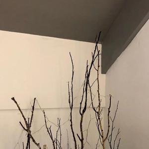 你是风而我是沙