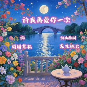 许我再爱你一次