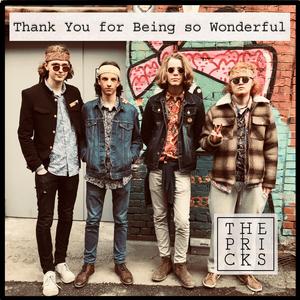 Thank You for Being So Wonderful