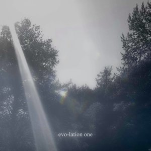 Undergrowth Magic Process Distillation