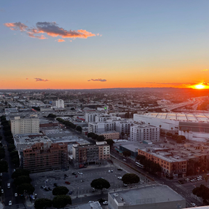 A toast to my remaining party days