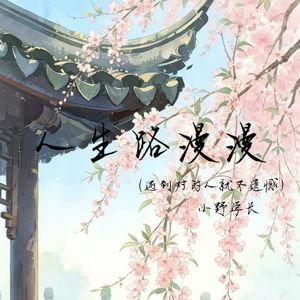 人生路漫漫（遇到对的人就不遗憾）