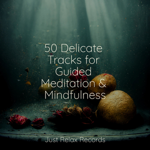 Echoes of a Dying Flame