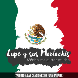 Fue Tan Poco Tu Cariño