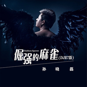 倔强的麻雀 (DJR7版)