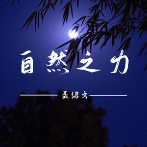 自然之力