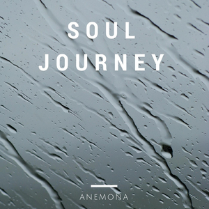 Soul Journey, #2