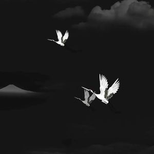 这热烈的爱本该属于你