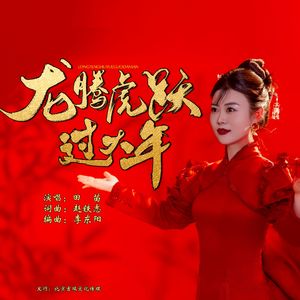 龙腾虎跃过大年（伴奏）