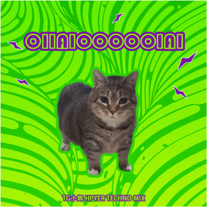 oiia 猫 Oiiaioooooiai-(TG小辉 hyper Techno Mix).wav