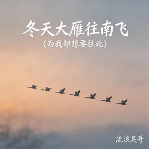 冬天大雁往南飞(而我却想要往北)