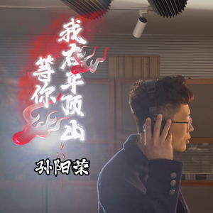 孙阳荣-我在平顶山等你320kps 伴奏