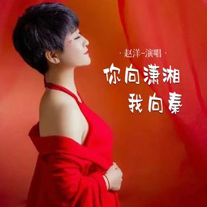 你向潇湘我向秦 (DJ默涵版)