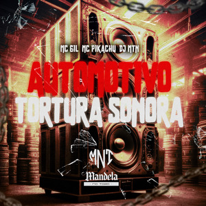 Automotivo Tortura Sonora