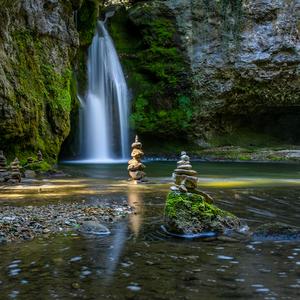 你你你为了爱情