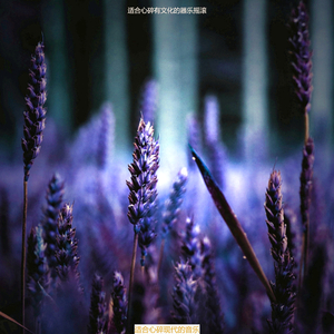 伤心事愉悦的爵士