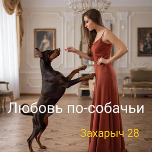 Любовь по-собачьи