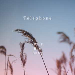 전화 (Inst.)