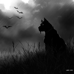 Tankar i novemberljus v2