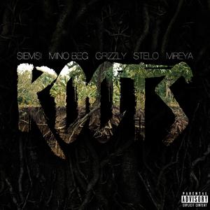 Roots (feat. Mino Beg, Grizzly, Stelo & Mreya)